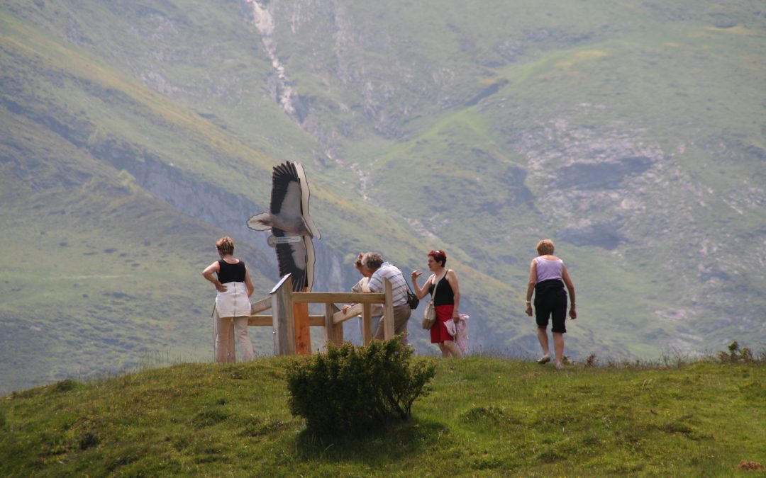 SENTIER DES RAPACES